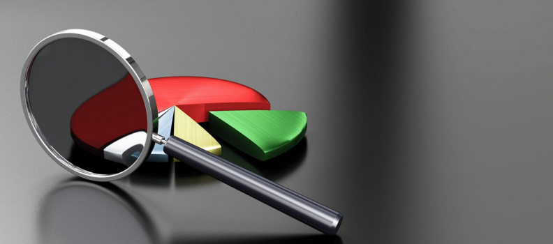 INDEPENDENT AUDIT AND MINORITY SHAREHOLDER’S RIGHT