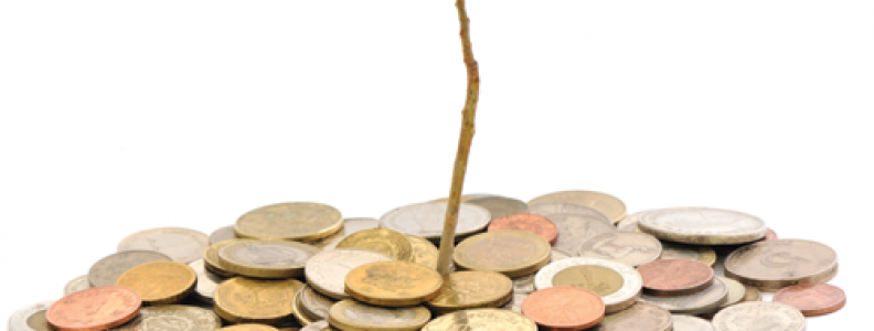 JOINT STOCK COMPANY (A.S) in TURKEY